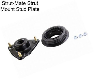 Strut-Mate Strut Mount Stud Plate