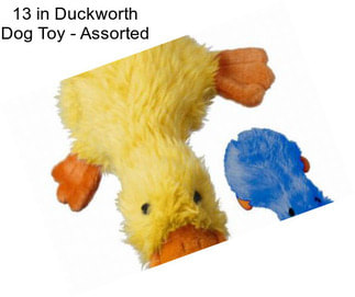 13 in Duckworth Dog Toy - Assorted