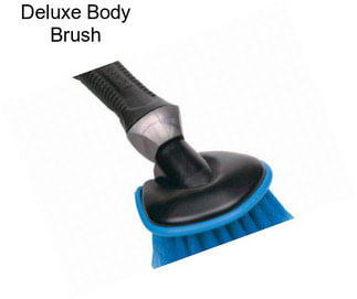 Deluxe Body Brush