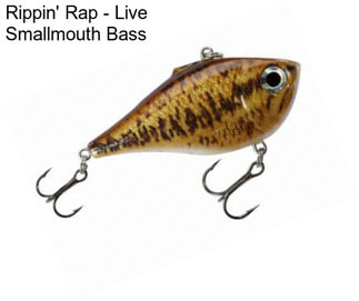 Rippin\' Rap - Live Smallmouth Bass