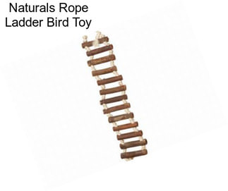 Naturals Rope Ladder Bird Toy