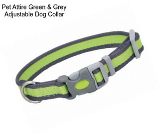 Pet Attire Green & Grey Adjustable Dog Collar