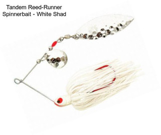 Tandem Reed-Runner Spinnerbait - White Shad