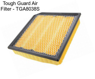 Tough Guard Air Filter - TGA8038S
