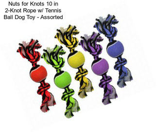 Nuts for Knots 10 in 2-Knot Rope w/ Tennis Ball Dog Toy - Assorted