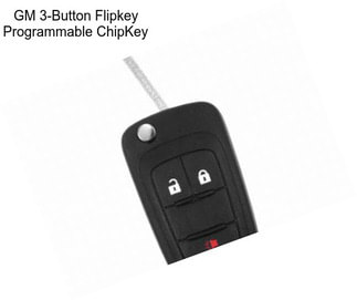GM 3-Button Flipkey Programmable ChipKey
