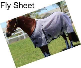 Fly Sheet