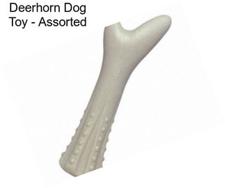 Deerhorn Dog Toy - Assorted