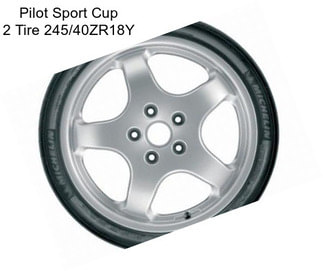 Pilot Sport Cup 2 Tire 245/40ZR18Y