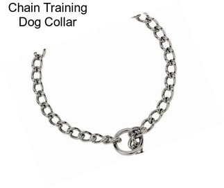 Chain Training Dog Collar