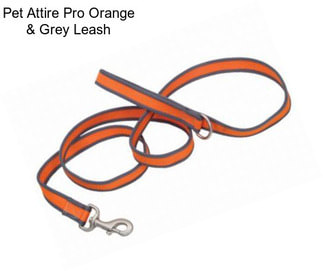Pet Attire Pro Orange & Grey Leash