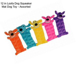 12 in Loofa Dog Squeaker Mat Dog Toy - Assorted