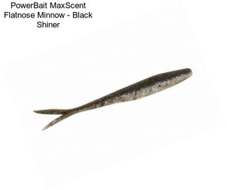 PowerBait MaxScent Flatnose Minnow - Black Shiner