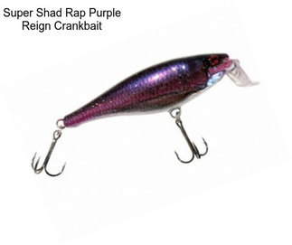 Super Shad Rap Purple Reign Crankbait