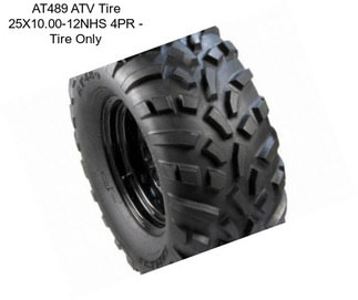 AT489 ATV Tire 25X10.00-12NHS 4PR - Tire Only