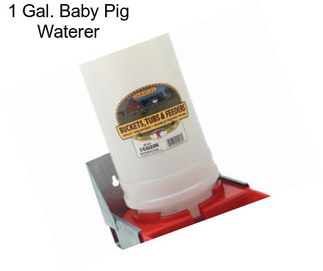 1 Gal. Baby Pig Waterer