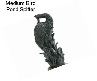 Medium Bird Pond Spitter