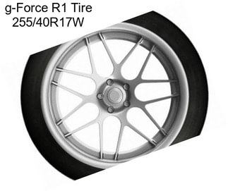 G-Force R1 Tire 255/40R17W