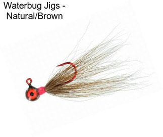 Waterbug Jigs - Natural/Brown