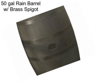 50 gal Rain Barrel w/ Brass Spigot