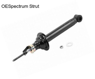 OESpectrum Strut