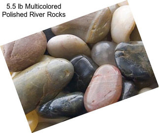 5.5 lb Multicolored Polished River Rocks