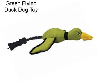 Green Flying Duck Dog Toy