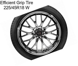 Efficient Grip Tire 225/45R18 W