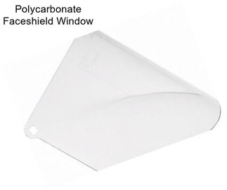 Polycarbonate Faceshield Window