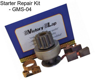 Starter Repair Kit - GMS-04