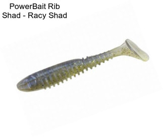 PowerBait Rib Shad - Racy Shad