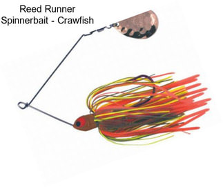 Reed Runner Spinnerbait - Crawfish