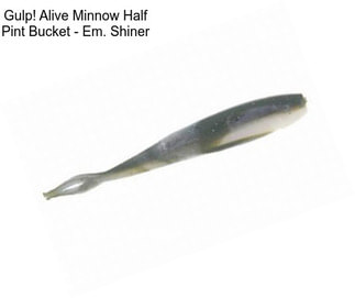 Gulp! Alive Minnow Half Pint Bucket - Em. Shiner