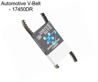 Automotive V-Belt - 17450DR