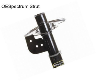 OESpectrum Strut