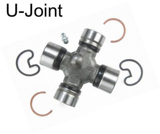 U-Joint