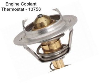 Engine Coolant Thermostat - 13758