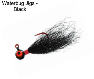 Waterbug Jigs - Black