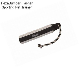 HexaBumper Flasher Sporting Pet Trainer