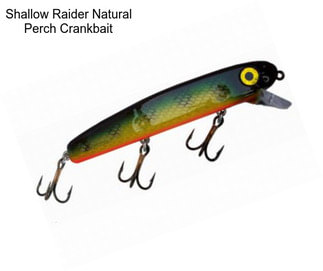 Shallow Raider Natural Perch Crankbait