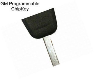 GM Programmable ChipKey