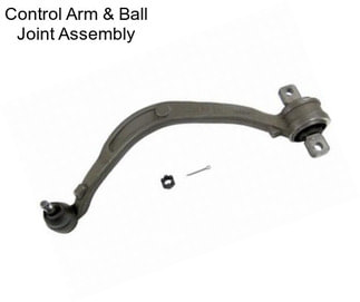 Control Arm & Ball Joint Assembly