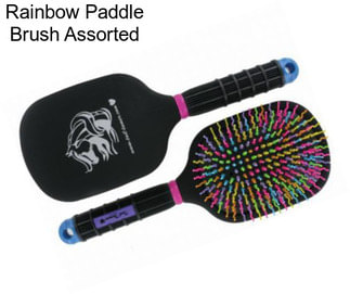 Rainbow Paddle Brush Assorted