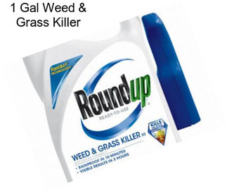 1 Gal Weed & Grass Killer