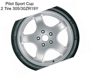 Pilot Sport Cup 2 Tire 305/30ZR19Y