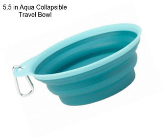 5.5 in Aqua Collapsible Travel Bowl