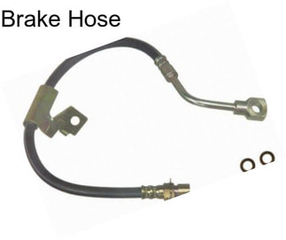 Brake Hose