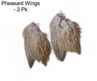 Pheasant Wings - 2 Pk