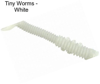 Tiny Worms - White