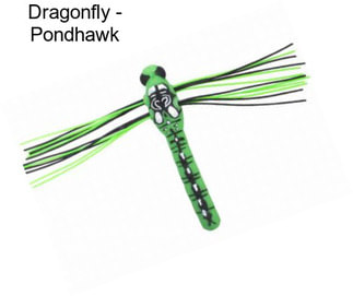 Dragonfly - Pondhawk